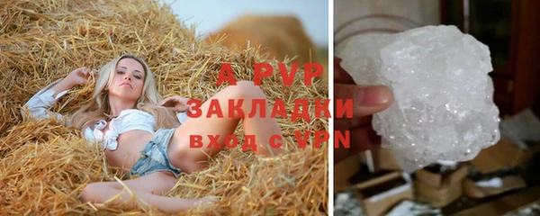 стаф Болотное