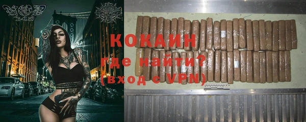 стаф Болотное