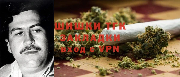 стаф Болотное
