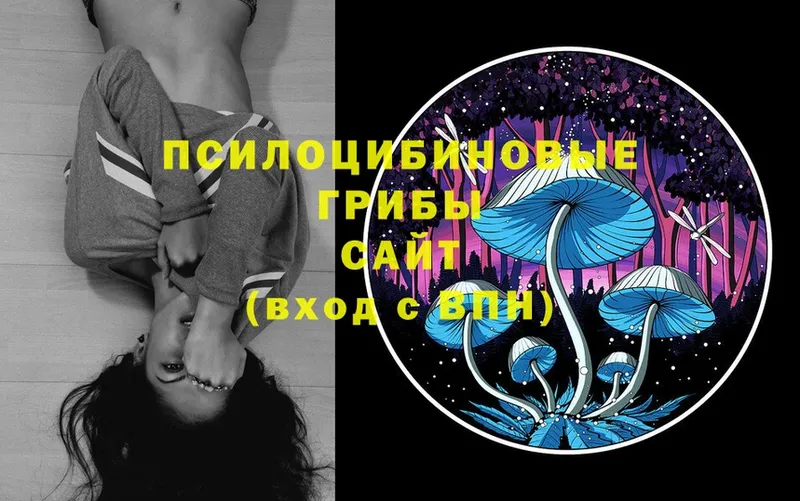 Галлюциногенные грибы MAGIC MUSHROOMS  сколько стоит  Гаджиево 