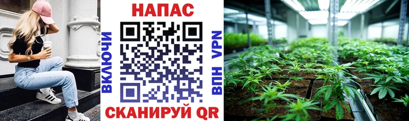 хочу   Гаджиево  Бошки Шишки Bruce Banner 